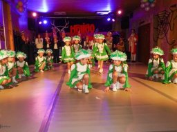 efg-fasching 2020-046